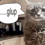 GulpCat