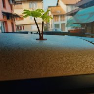mudja