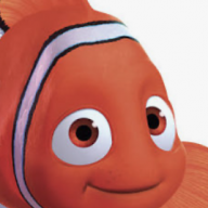 littleclownfish