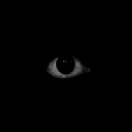 eyesmarks